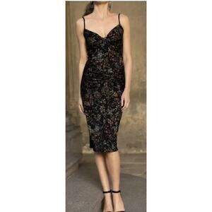 Peruvian Connection Dress Womens S Colette Floral Slimming Sexy Bodycon Fall